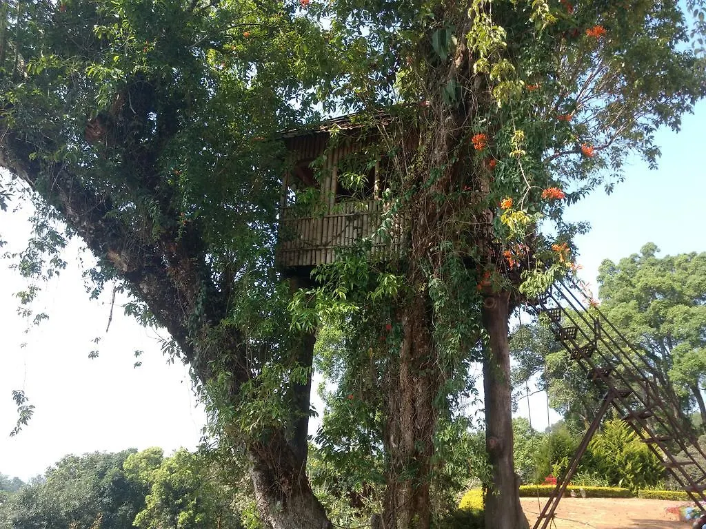 Agroturismo Kollenkeril Plantation Bungalow Villa Munnar India