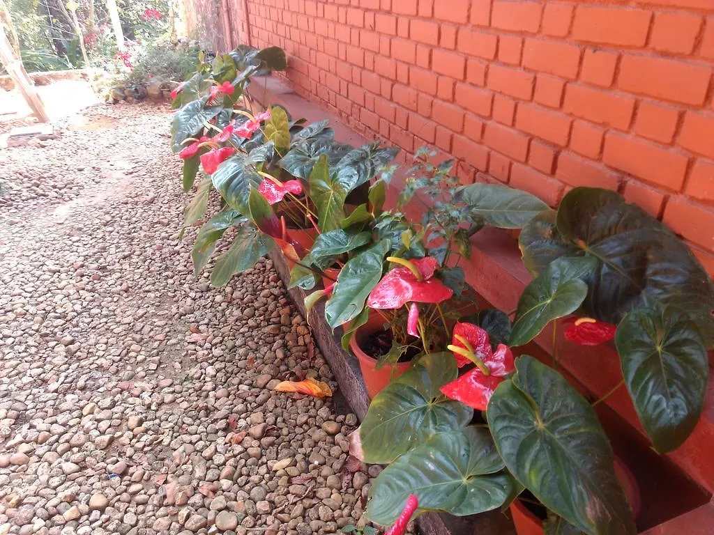 Вилла Kollenkeril Plantation Bungalow Муннар